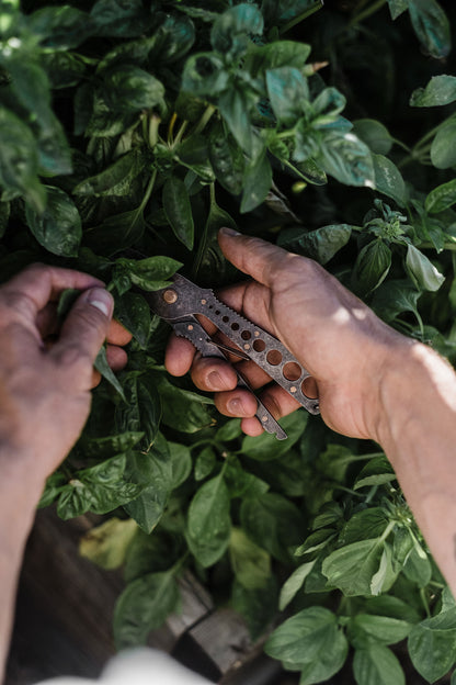 Herb Harvest and Strip Tool