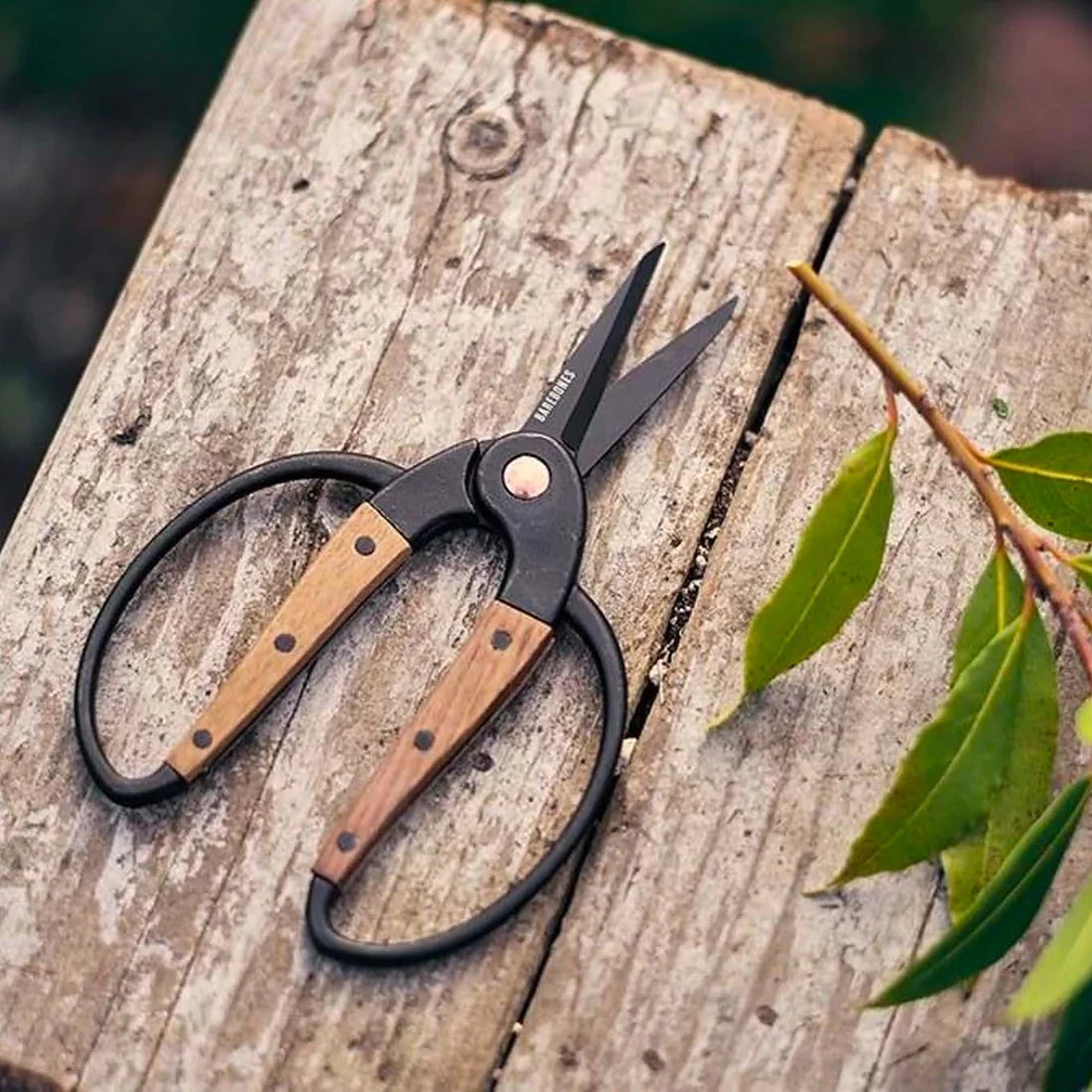 Garden Scissors